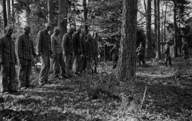                                                                 Almanlar taraf�ndan idam edilecek olan Polonyal� mahkumlar. (1942)                                                                    