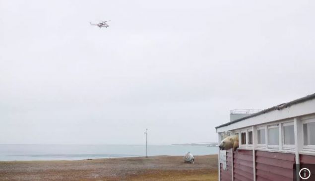  Ay�n�n helikopter sesini duymas� �zerine pencereyi k�rarak ka�t��� g�r�ld�. 