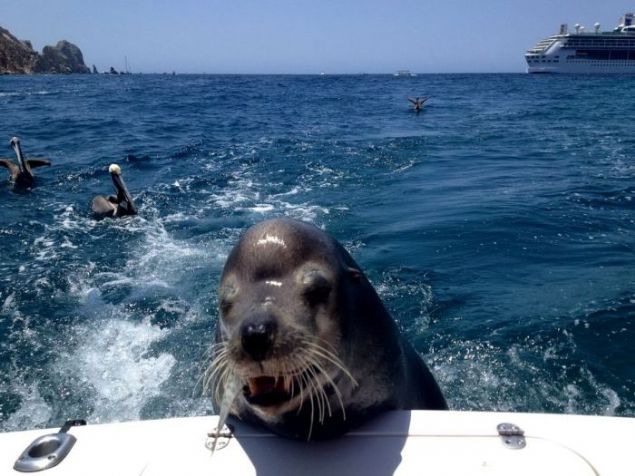 Sosyal medya kullanclar tarafndan en ok beenilen ve paylalan fotoraflar sizler iin derledik... 