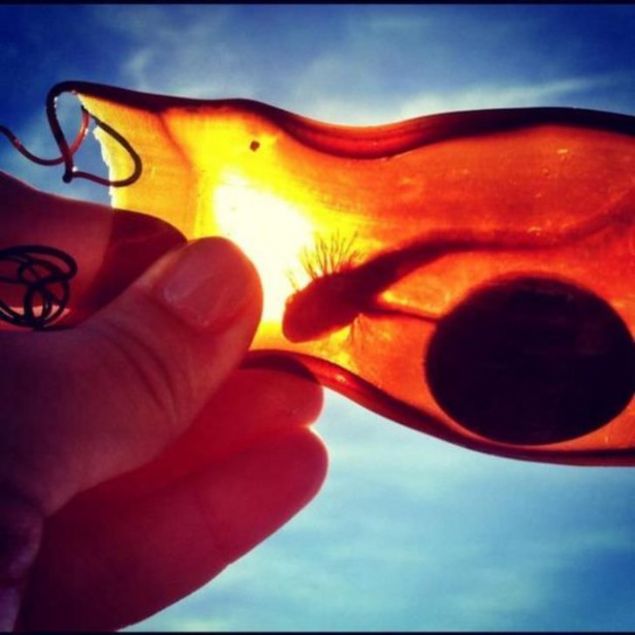  Yavrular doar domaz dilerine uygun kk balklara saldrr.   