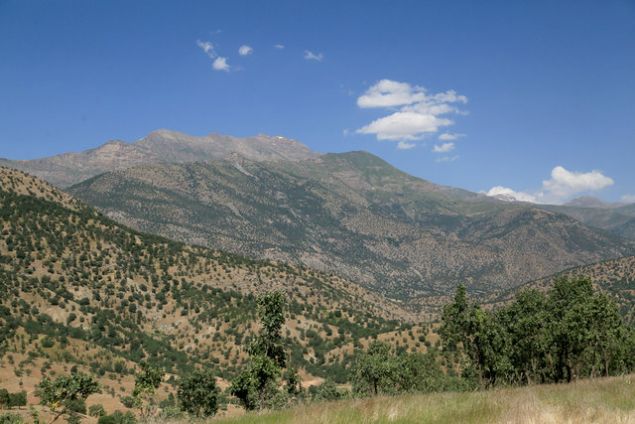 300'DEN FAZLA KY ZARAR GRYOR... Irak Krt Blgesel Ynetimi (IKBY) Hkmet Szcs Sefin Dizayi, terr rgt PKK'nn Irak'n kuzeyindeki igali nedeniyle blgenin zarar grdn belirterek, 'PKK'nn varl nedeniyle 300'den fazla kye hizmet gtrlemiyor' demiti.     