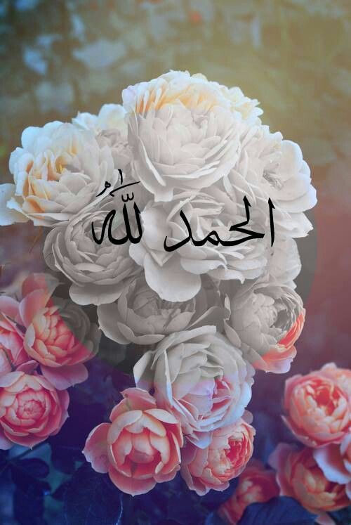 Allahm,  Hareket ve faaliyetlerimizi, bu dnyann bir cret yeri deil de, bir hizmet mahalli olduu mlhazasna balayalm. Her zaman memur bulunduumuz sorumluluklar fevkalde bir disiplin iinde yerine getirelim. Netice ve sonula megul olmay da sana kar bir saygszlk sayalm Ya Rabbi!  