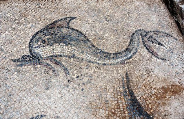 Zeminden 3 metre derinlikte bulunan kal�nt�lar�n g�n �����na ��kar�lmas� i�in Bodrum Sualt� Arkeoloji M�zesi M�d�r� Tayfun Sel�uk, 3 arkeolog e�li�inde �al��malara ba�lad�. S�rd�r�len �al��malara g�re kal�nt�lar�n, M.S. 2. y�zy�lda b�lgede ya�ayan d�nemin zengin bal�k��lar�ndan �nl� Phainos�un villas�n�n oldu�u tespit edildi.      