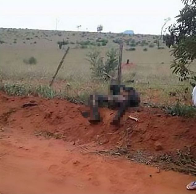 Paraguay'da uyuturucu baronlarnn kontrolnde olan blgede yanm bir erkek cesedi bulundu. 