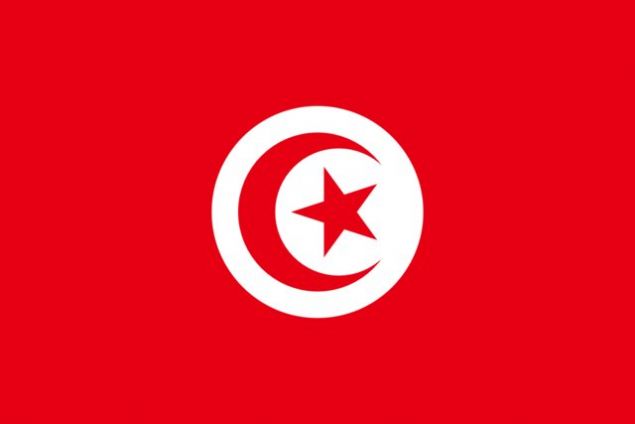    TUNUS: 90 g�n s�reyle vizeden muaft�r.     