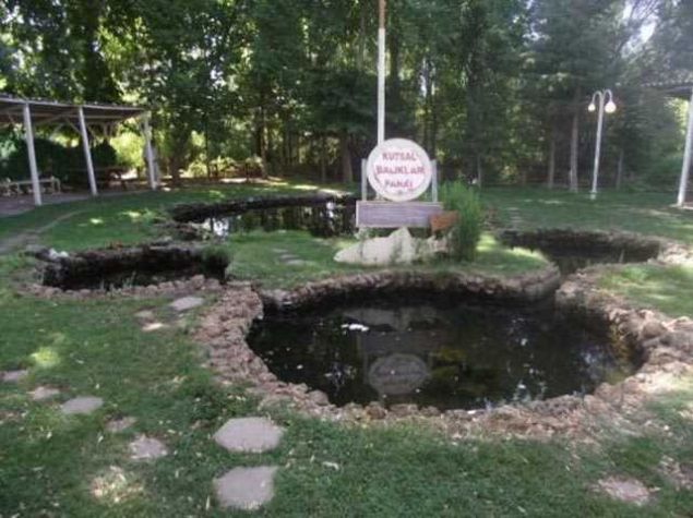                                                                 Malatya'nn Arguvan ilesine bal Kzk ky  <br><br>  Kzk ky sakinleri, kutsal olarak grdkleri balklar iin kurban kesiyor, ldklerinde de dualar eliinde ky mezarlnda topraa veriyor. Evet yanl okumadnz, balk iin kurban kesiliyor ve o balklar ldklerinde trenle topraa veriliyor. 700 yl nce kurulan kyn ime su kaynann bulunduu yerde yaplan havuzlarda beslenen balklardan 'hastalara ifa, ocuu olmayanlara da ocuk' dileinde bulunuluyor.                                                              