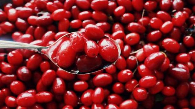 K�z�lc�k, k�rm�z� rengiyle �ifa dolu bir meyve. Kimi y�relerde kiran, kiren, e�ren ya da ergen adlar�yla da bilinen k�z�lc���n kurusuna d�rt mevsim ula�man�z m�mk�n. �erbet, su, re�el ve marmelat olarak da t�ketilebilen meyvenin tarhanas� dahi yap�l�yor. Zeytin b�y�kl���nde formu, ek�i tad� ve k�rm�z� rengiyle mutfaklardan eksik olmamas� gereken k�z�lc���n faydalar� saymakla bitmeyecek gibi duruyor.   