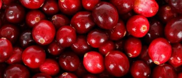                                                                 18. Fazla t�ketildi�inde kusma ve mide bulant�s� gibi sorunlar ortaya ��kabilir                                                          