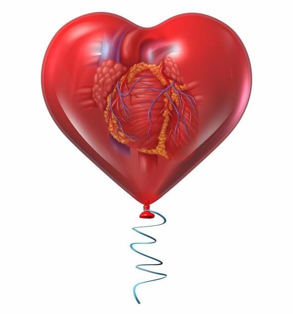                                                                 Kolesterol dengeler. Bu zellii ile kalp ve damar hastalklar iin nemli bir yardmcdr. eriindeki folik asit, bitkisel Omega-3 ve magnezyum gibi vitaminlerle kalp krizi geirme riskini de drr                                                       