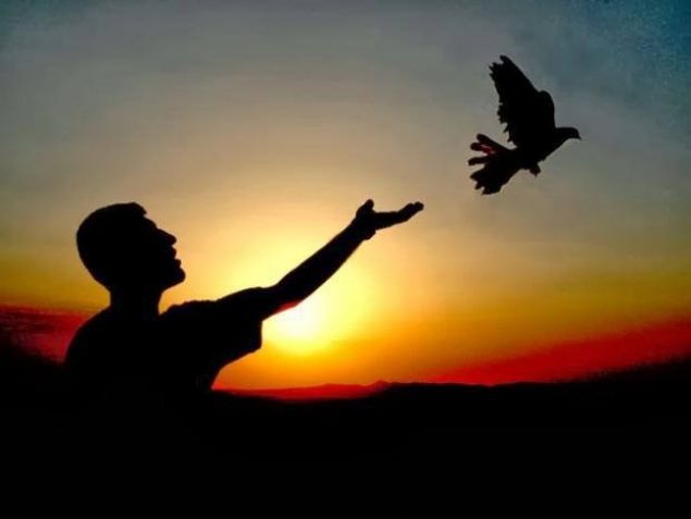                                                                 Cinayetten nasl paay kurtarrm?  <br><br>  Ayda ortalama 2 bin                                                       