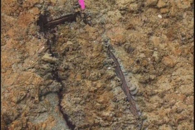                                                                 Arkeologlar, kan cesetleri inceleyerek, yalarn, salk durumlarn ve cinsiytelerini analiz etmeyi umuyor.                                                       