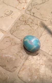                                                                 te 9 yllk yumurtann ii...                                                       