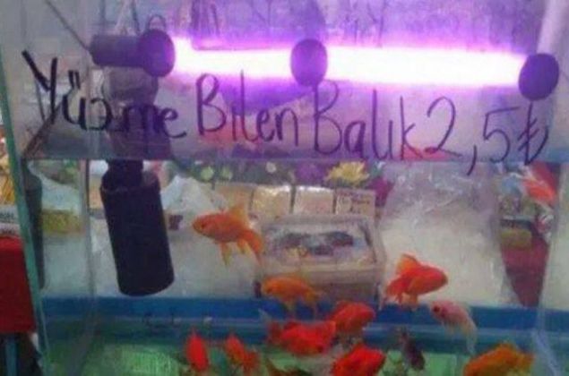 Esnafmzn pratik zekas ve mizah n planda, ite en komik esnaf yazlar...    