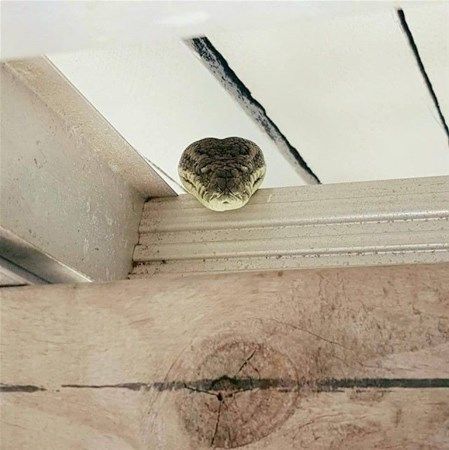                                                                 Avustralya'da sradan bir garaj.                                                        