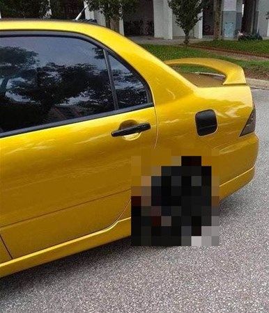                                                                 Eer Avustalya'ya giderseniz, buna almanz gerekiyor.                                                        