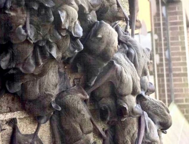                                                                 Amerika'nn Houston ehrinde ekilen bu grntler herkesi akna eviriyor.                                                         