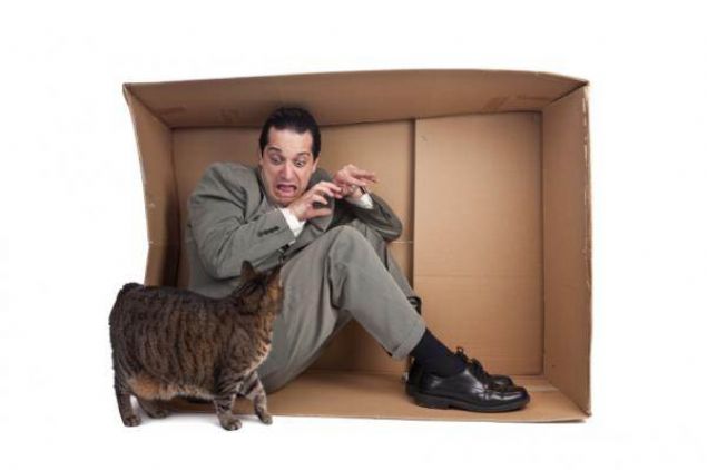                                                                     4-Zoofobi (hayvan korkusu)                                                         