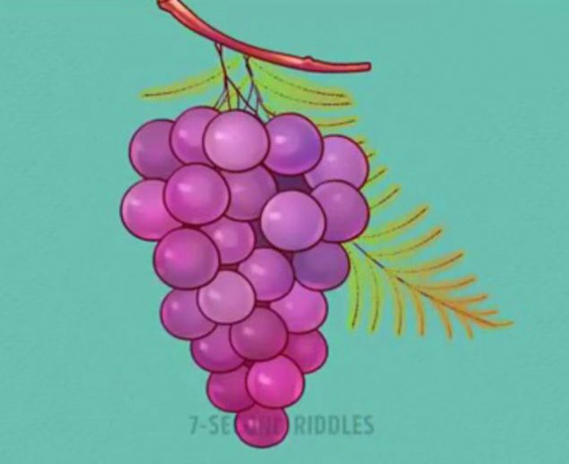                                                                 Cevap: zm yapraklar bu ekilde olmaz.                                                         