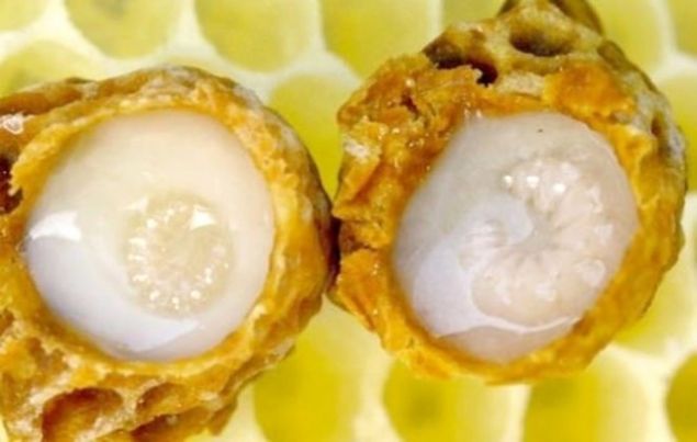                                                                 ARI STNN FAYDALARI NELERDR?  <br><br>  Ar st iinde bulunan aktif bileikler sayesinde anti-viral, anti-bakteriyel, anti-inflamatuar ve baklk sistemini glendirici etkilere sahiptir.                                                           