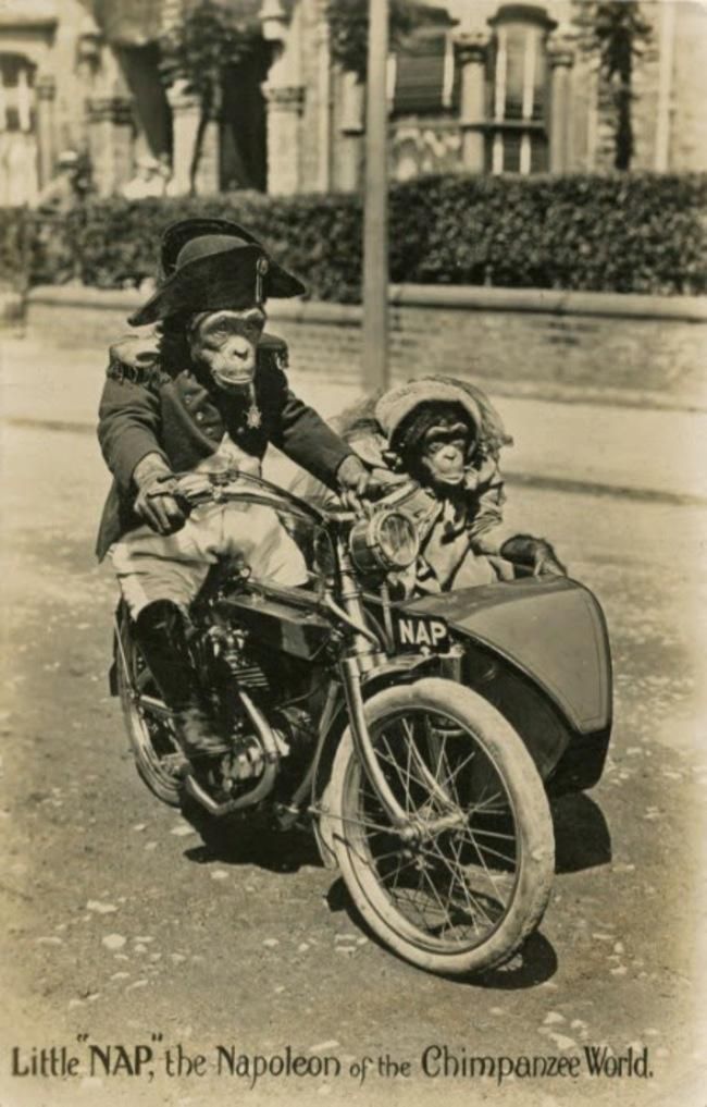                                                                  'K���k Napolyon'un bir ba�ka foto�raf�.    