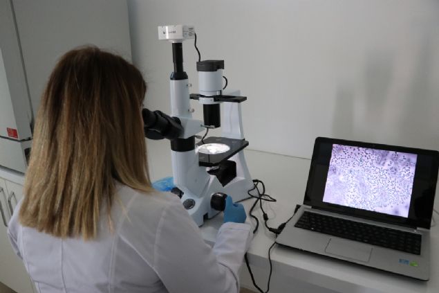                                                                 stenilen kilin Nide ve evresindeki kayalardan elde edilebileceini tespit edince jeoloji, kimya ve biyoloji alt disiplinleriyle proje hazrladklarn ifade eden ener, u bilgileri verdi:                                                          