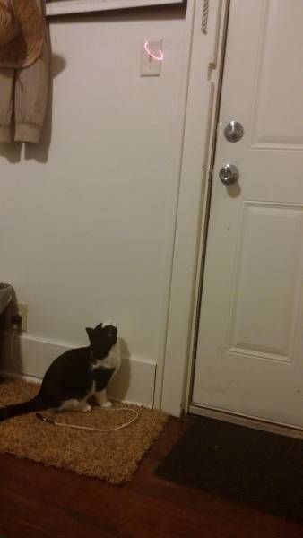                                                                 inanmak ne kadar g olsa da onlar daha az enerji harcamak iin ellerinden geleni yapyorlar...                                                       