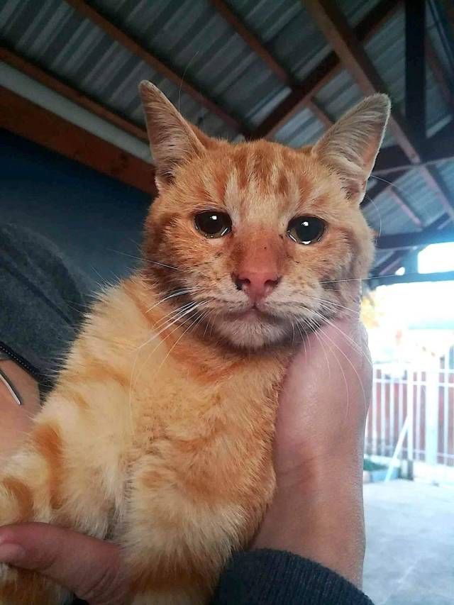 Sosyal medya kullan�c�lar� taraf�ndan en �ok be�enilen ve payla��lan foto�raflar� sizler i�in derledik... 