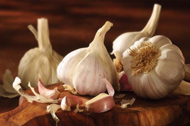                                                                 SARIMSAK  <br><br>  Doal antibiyotik kayna olan sarmsak, ya yakan ideal besinlerdendir.                                                           