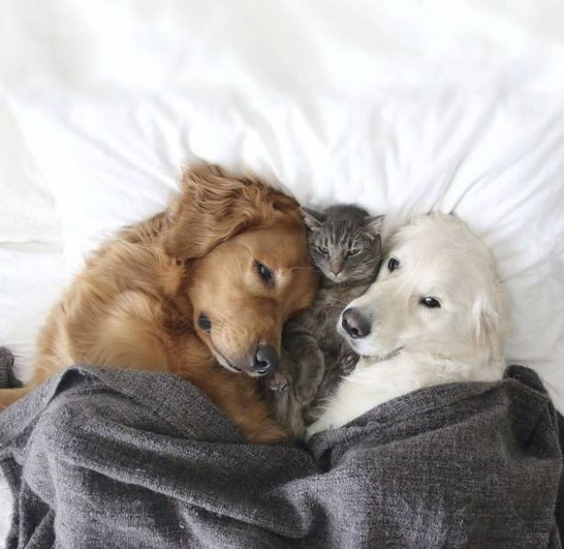 Sosyal medya kullanclar tarafndan en ok beenilen ve paylalan fotoraflar sizler iin derledik... 