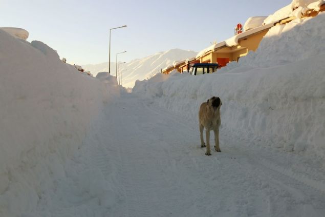 ارتفاع باورنکردنی برف در شهرهای ترکیه+تصاویر