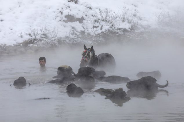                                                                 'ektiimiz fotoraflarn etkisiyle bu yl 18 kiilik ekiple zevkli bir tren yolculuuyla geldik. Budakl kaplcas ender yerlerden birisi. Dou Ekspresi'nin Kars ve Erzurum turizmine byk katks var. Van Gl Ekspresi'nin de Bitlis, Mu, Van, Bingl, Ar ve Hakkari turizmine byk katk salayacan tahmin ediyorum nk bu illerin nemli turizm deeri var.'                                                         