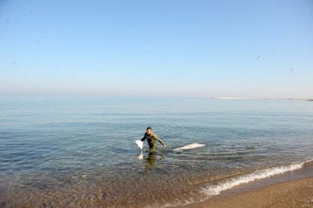 Murat ukur, Sabah kalktmzda sahilde dolarken balklarn karaya vurduunu grdk. Belediye ekipleri gerekeni yapyor. Kaak balklar tarafndan atld syleniyor. Denizde daha l balk olduu syleniyor diye konutu.    