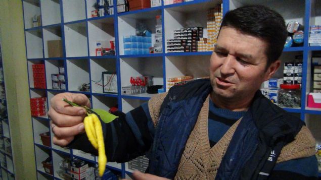 Erhan Nizamolu, baheye limon toplamaya gittiini belirterek, Limon toplarken aata biber olduunu fark ettim. Biraz inceledikten sonra biber grnml limon olduunu fark ettim. ardm. Tadna baktk biber grnml limon, Allahn hikmeti ite dedi. 