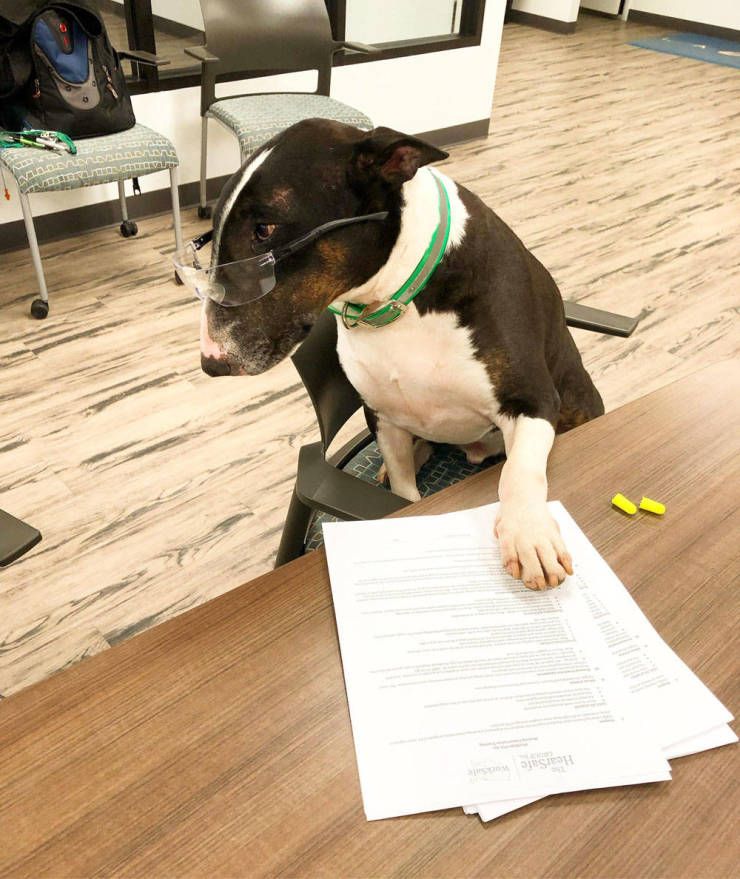 Sosyal medya kullan�c�lar� taraf�ndan en �ok be�enilen ve payla��lan foto�raflar� sizler i�in derledik...   