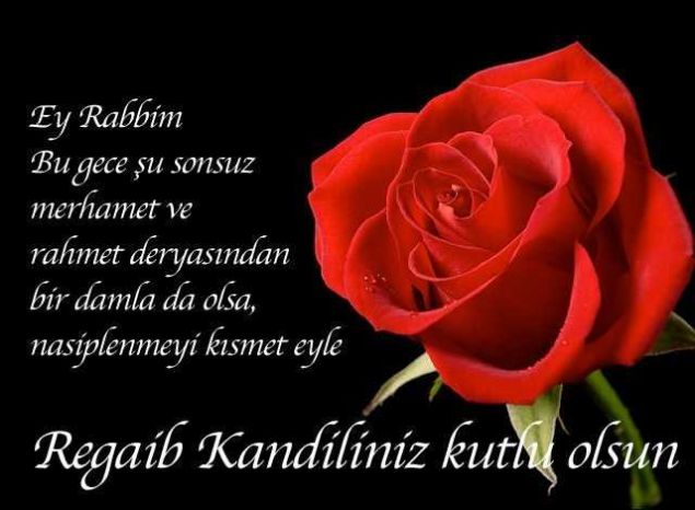                                                                  Regaip kandili mesajlar Gnei yreinde gzleri ufuklarda muhabbet yolcular arasnda cennet hesab yapmayan cennetlikler arasnda olmann duasyla hayrl kandiller.                                                       