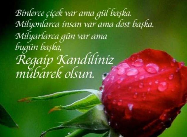                                                                  Regaip kandili mesajlar Yreklerde kim bilir ne aclar, ne umutlar ve ne krgn hayaller var. Rabbim hibirinizin umutlarn soldurmasn. Amin. Regaip kandiliniz mbarek olsun.                                                       