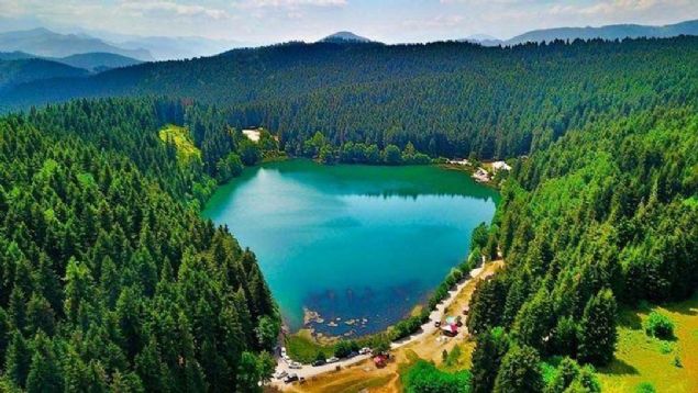 ARTVN  <br><br>  446.283 kii 