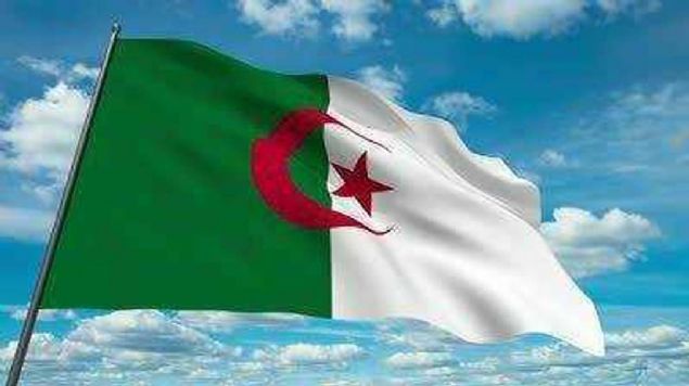 Cezayir   <br><br>  511 Trk yayor. 