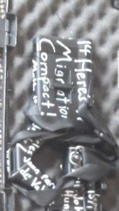 Aralk 2018 tarihinde aralarnda Yeni Zelandann da bulunduu 164 lke Kresel G Pakt imzalam, bu paktn 14. hedefi ise gmenlerin gvenliiyle ilgili:  <br><br>  G dngsnde diplomatik KORUMA, yardm ve i birliinin artrlmas  