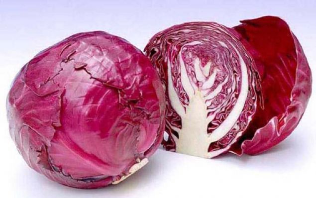 12. KIRMIZI LAHANA  <br><br>  31 kalori (100 g) Besin puan: 65  Vitaminler bakmndan zengin bu bitkinin yabani akrabalarnn Avrupa veya Akdeniz'de deniz kenarnda yetien bir bitki olduu tahmin ediliyor. 