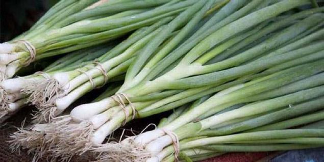 11. YEL SOAN  <br><br>  27 kalori (100 g) Besin puan: 65  Bakr, fosfor ve magnezyum bakmndan zengin yeil soan ayn zamanda iyi bir K vitamin kaynadr. 