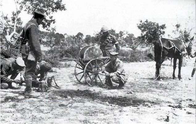 ngiliz askerleri Gelibolu Yarmadas'ndaki mevzileri arasnda telefon hatt ekerken. arapnel paralarndan zarar grmemesi iin teller topraa gmlyordu. 