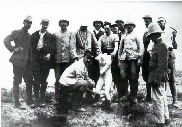 ngiliz birlikleri iindeki arkeologlar anakkale savalar srasnda da bo durmamlar,kaz yapmlar, toprak altndan kardklar deerli eserleri ngiltere'ye yollamlardr. Resimde Eros heykelini toprak altndan karan ngiliz arkeolog ve askerler grlmektedir. 