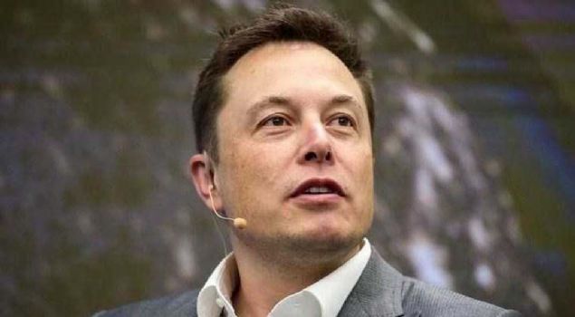 Gney Afrika asll ABD'li mucit ve giriimci olan Elon Musk Kanadal bir anne Haldeman ve Gney Afrikal bir baba Errolun olu olarak dnyaya geldi.  