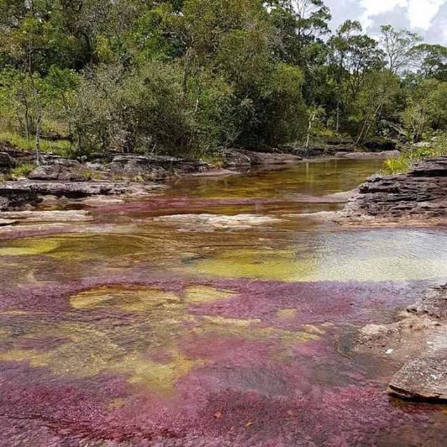 Kolombiya ordusunun 2000li yllarn ortasnda blgenin kontroln ele geirmesinin ardndan bir dizi turist cesur blgeye szmaya balamt. 
