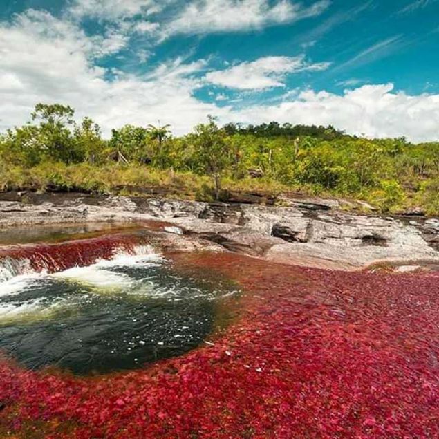 lk balarda karadan veya  koltuklu uakla gidilebilen blgeye u an 50 yolcuya kadar insan tayabilen ve direkt Bogotadan hareket eden uaklarla ulalabiliyor. 