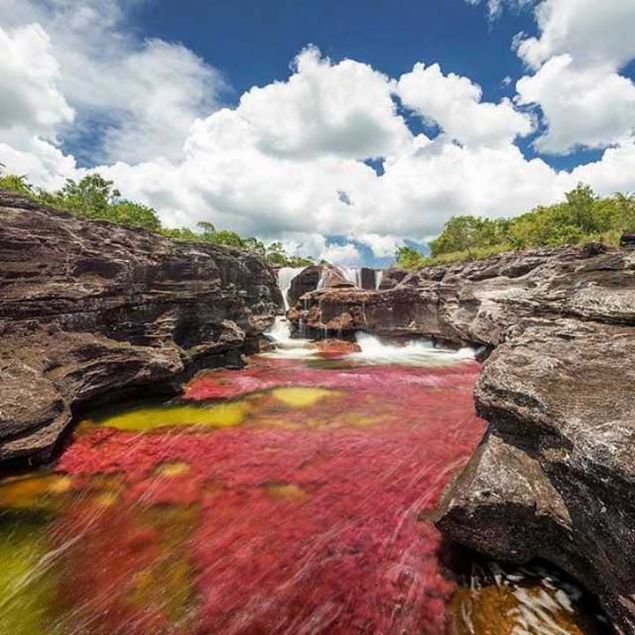 Bu son derece krlgan ve titiz ekosistemin sunduu harikalardan biri, nehrin her yeni ylda bir nceki sezona gre farkl bir grnt sunuyor olmasdr. 