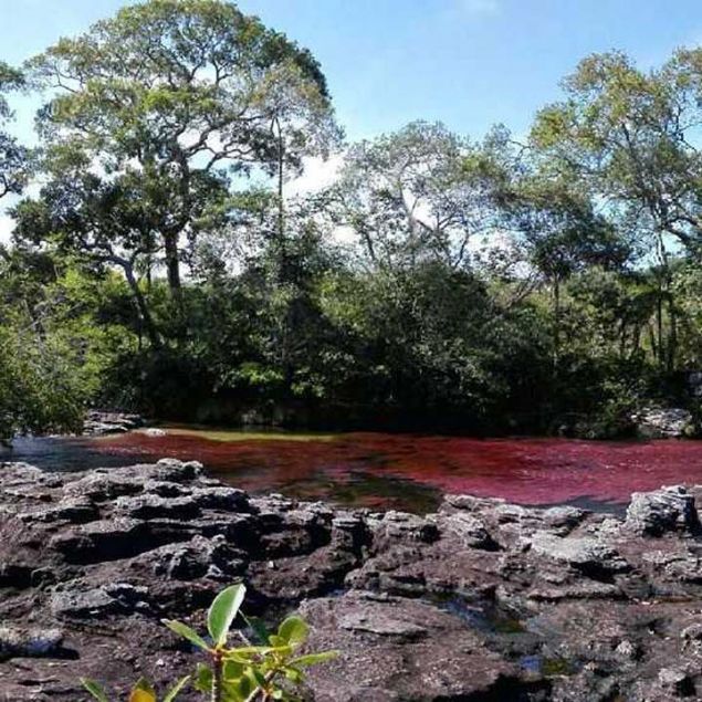 2008 ylnda 16s yabanc olmak zere yalnzca 780 turistin ziyaret ettii blge, 2016 ylnda ise 75 farkl lkeden 4 bin 200 yabanc, toplam 16 bin 500 kiiyi misafir etti. 