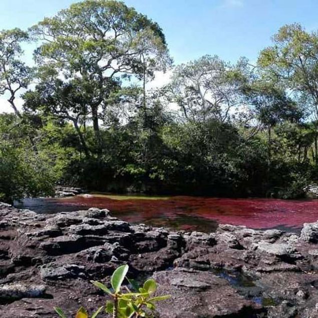 Kolombiya hkmetinin isyanclarla 2016 ylnda imzalad bar anlamasnn ardndan ise bu szntlar, yerini turist aknna brakt. 