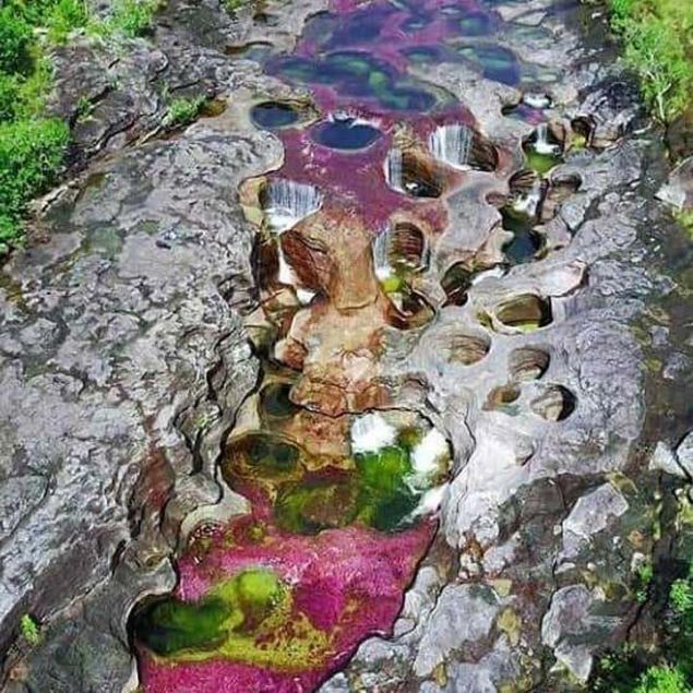 ATIMA BLGES: ZYARET ETMEK SON DERECE TEHLKELYD  <br><br>  Cano Cristalesin byleyici grnts, son yllara kadar birok Kolombiyal tarafndan bile kefedilememiti. 